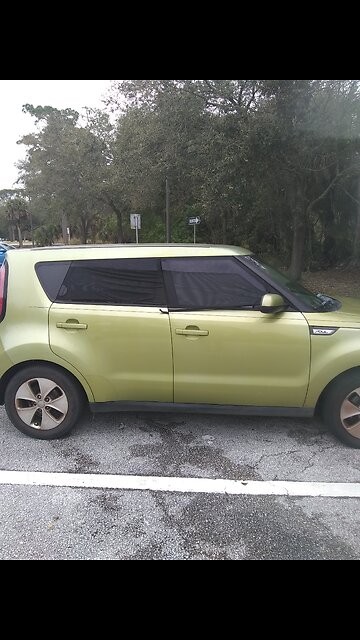 Stealth car camping in Florida with Bart Fine