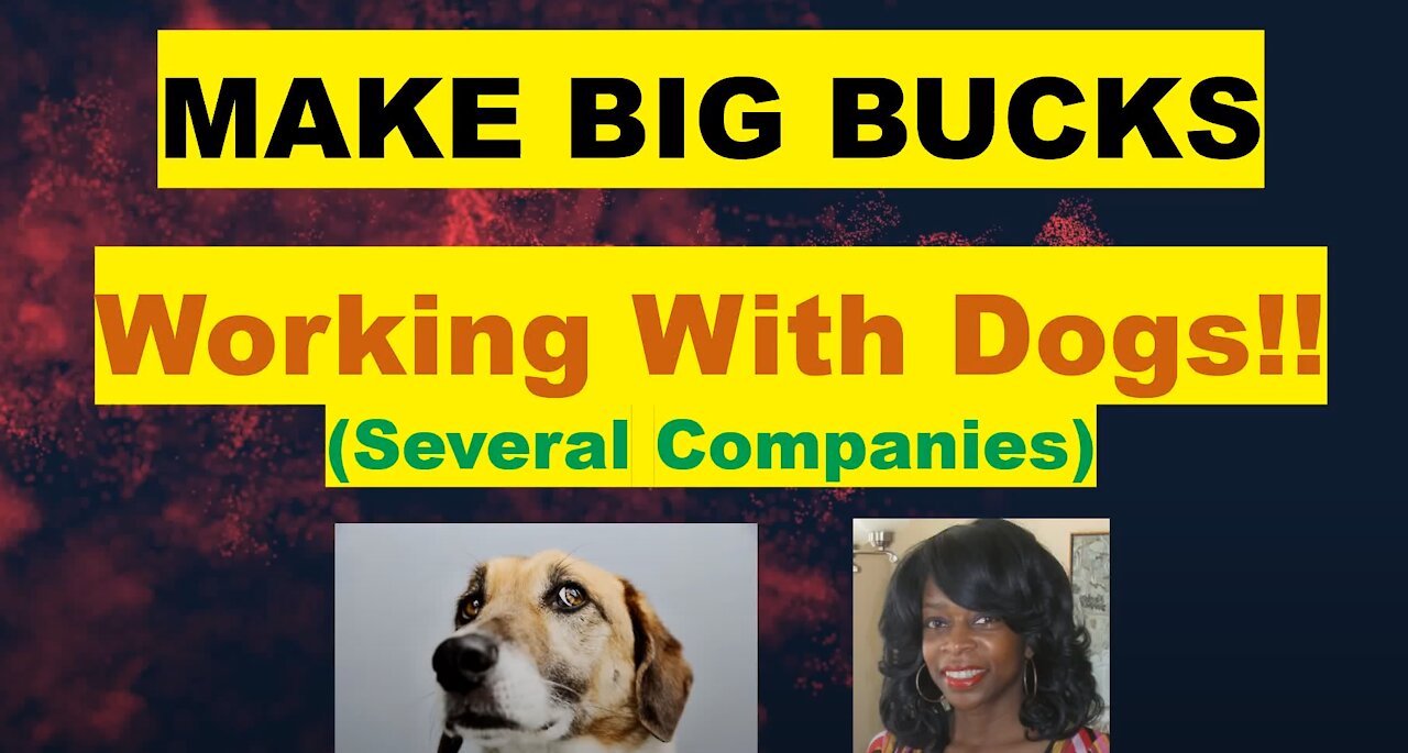 MAKE A LOT OF MONEY WORKING WITH DOGS