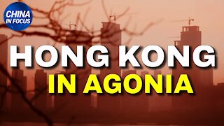 China in Focus (IT): La democrazia a Hong Kong sta morendo.