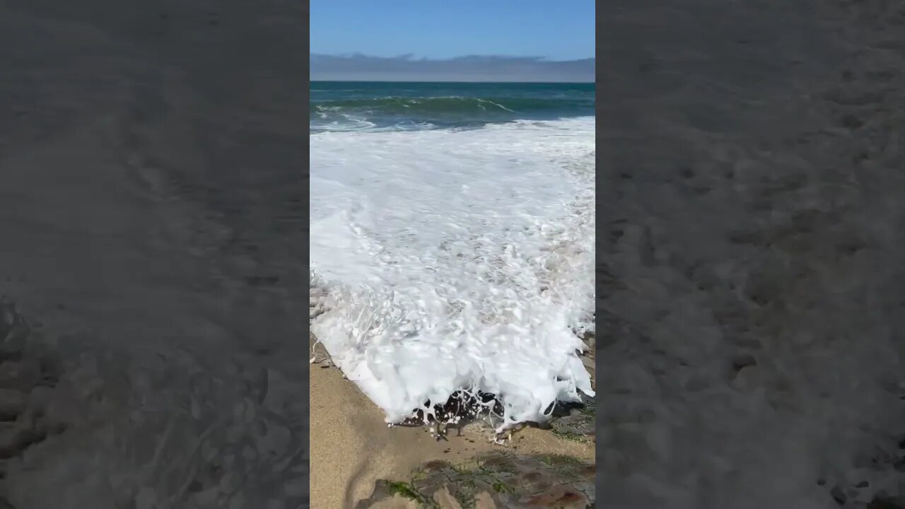 Panther beach wave, Davenport (1): #santacruz #shorts #panthers #beach #oceanwaves