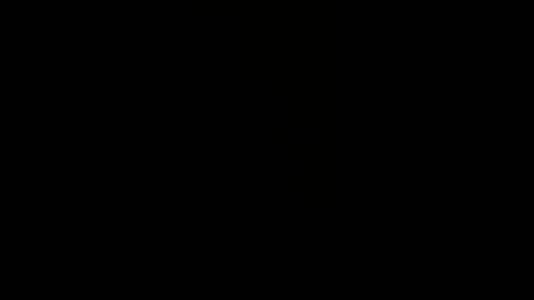 Midterm election steal