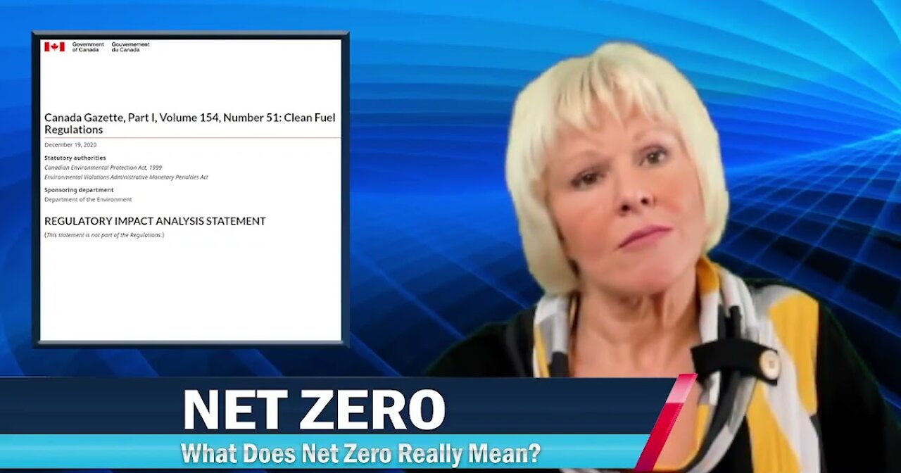 Cheryl Gallant- NET ZERO November 3, 2021