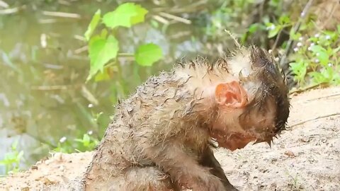 26 7Oh My Goodness! baby kley rises from the ground to eat-7