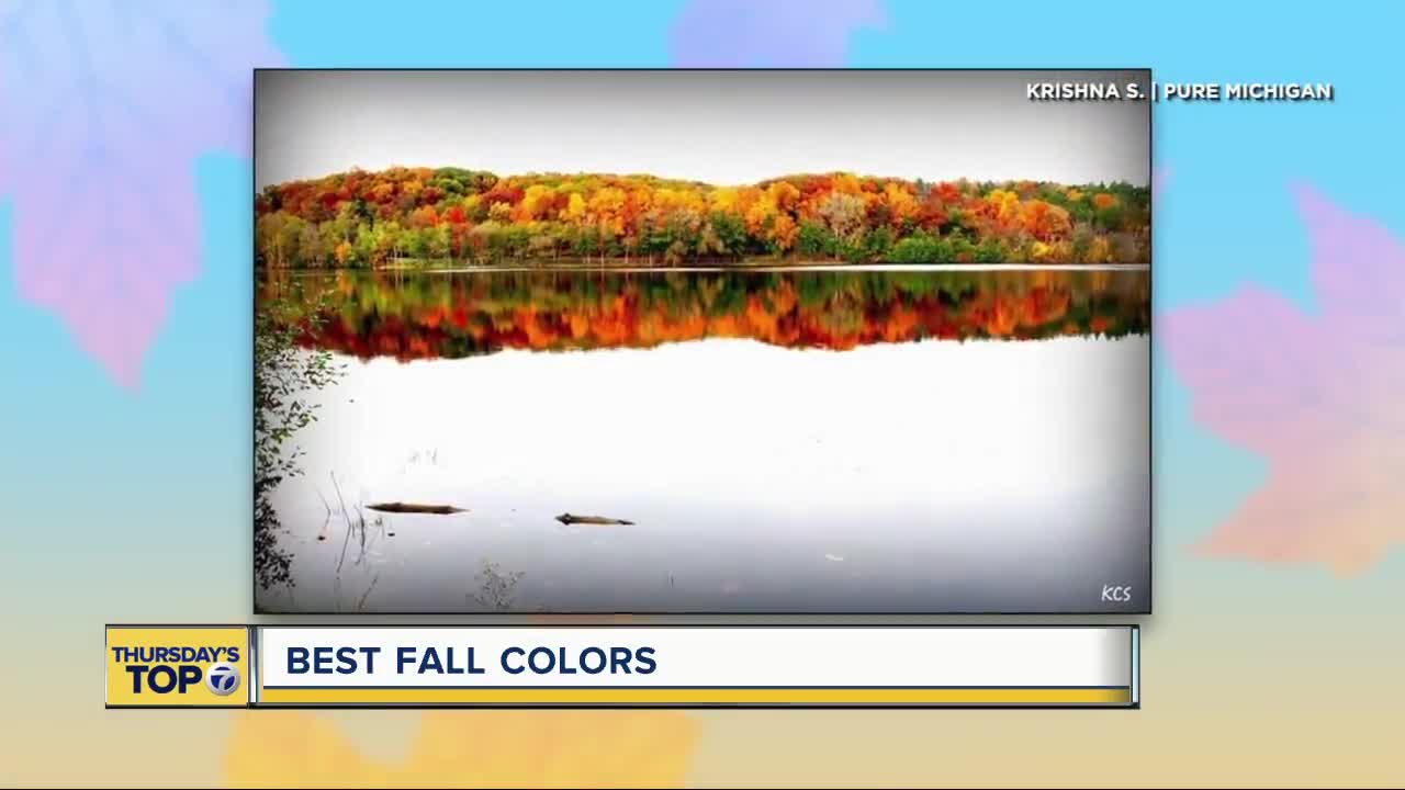 Thursday's Top 7: Best fall colors