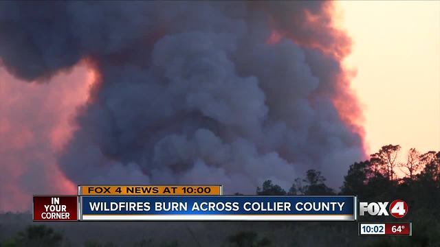 Evacuations lifted for Collier wildfire