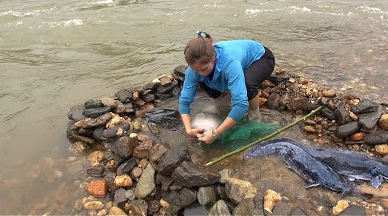 Catching stream fishing _ Building a fishing system on the stream - Catch a lot of fish Ep45