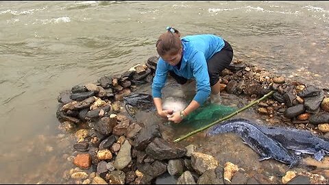 Catching stream fishing _ Building a fishing system on the stream - Catch a lot of fish Ep45