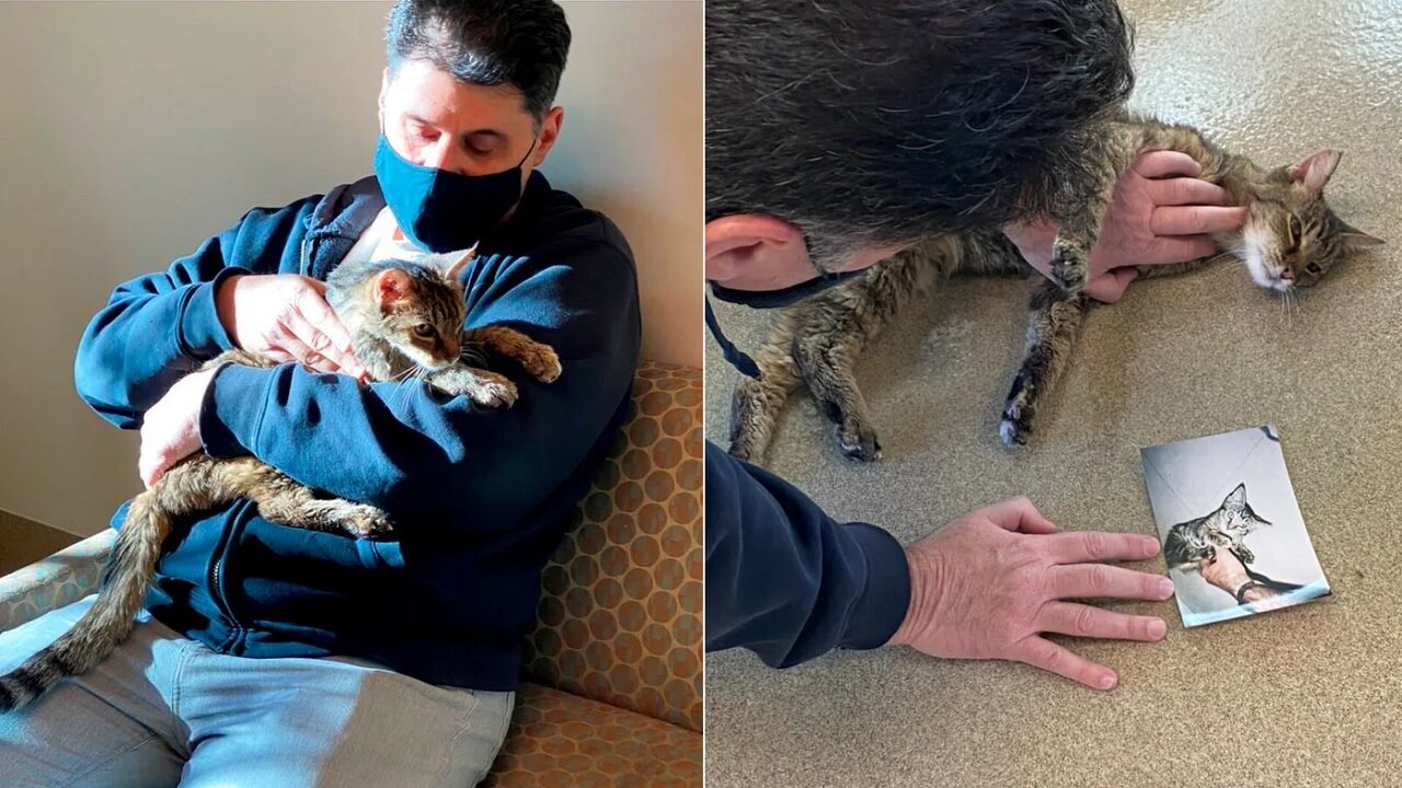 Man Who Lost Her Cat More Than 15 Years Ago Reunited With Missing Kitty