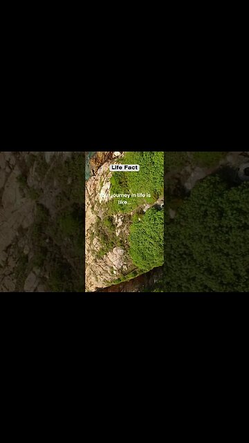 Your journey in life is like #shorts #facts #lifefacts