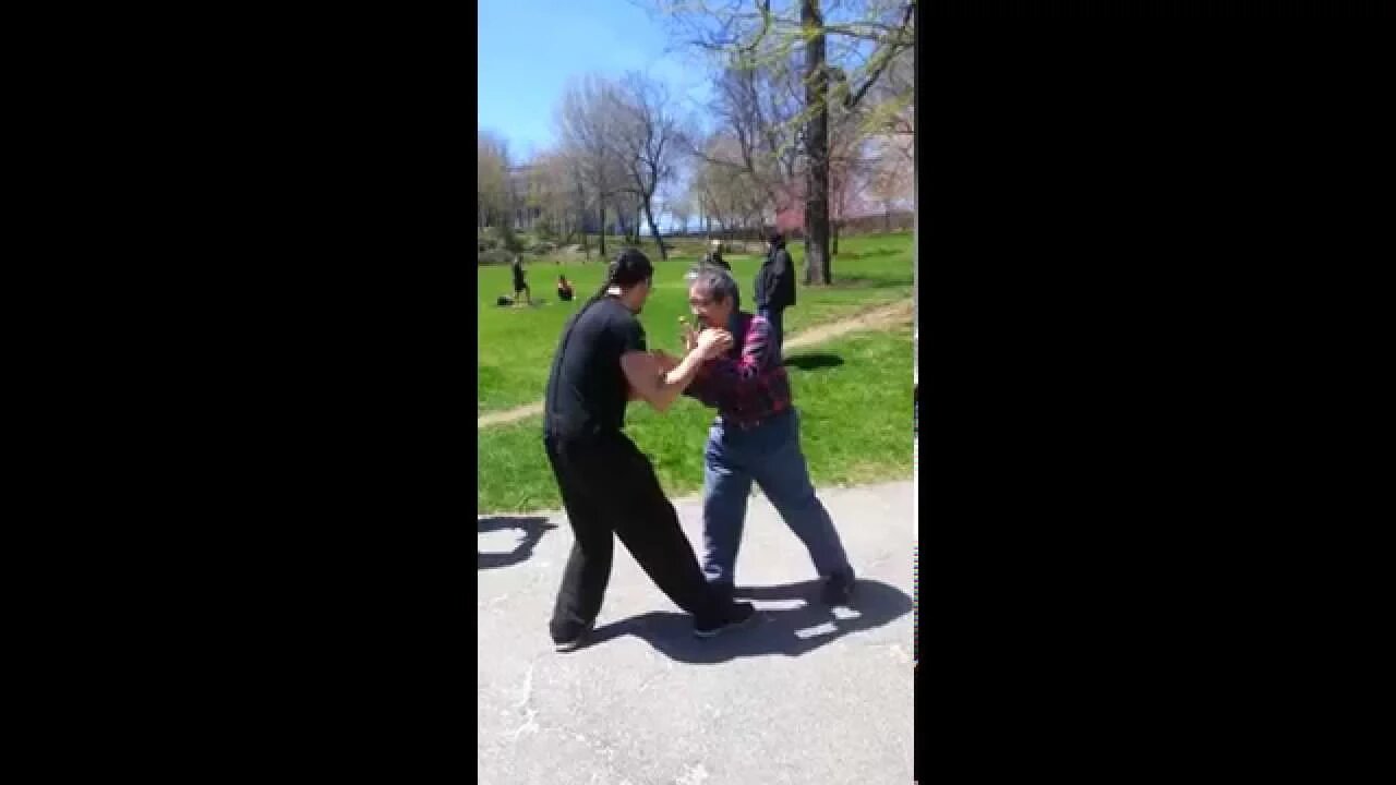 Push Hands with Master Benjamin Wu - World Tai Chi Day NYC 2015