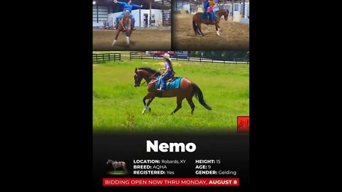 ENDED ✨𝓐𝓾𝓰𝓾𝓼𝓽✨ ALL STAR LINEUP **ending AUGUST 8th** Visit www.horsebid.com