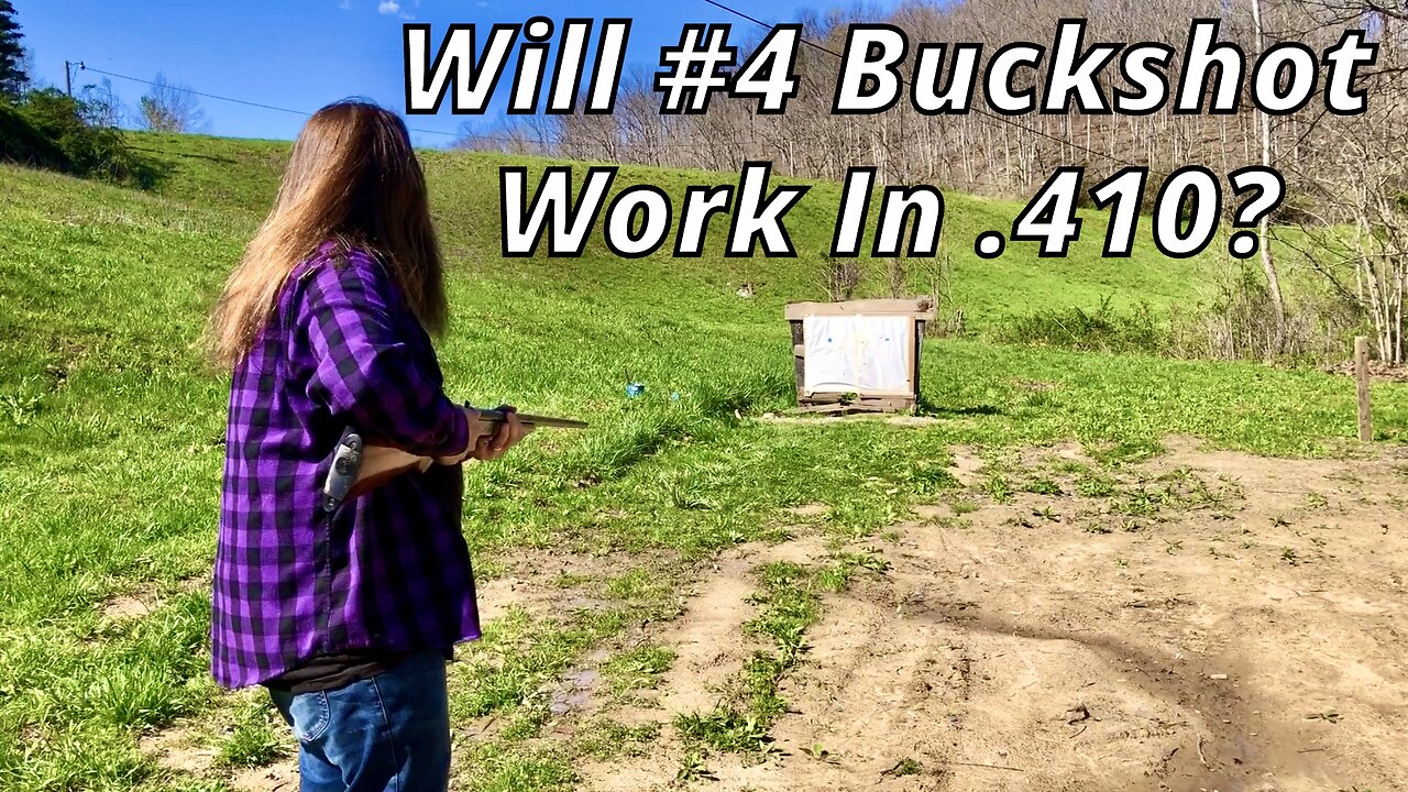 Will #4 Buckshot Work In .410?