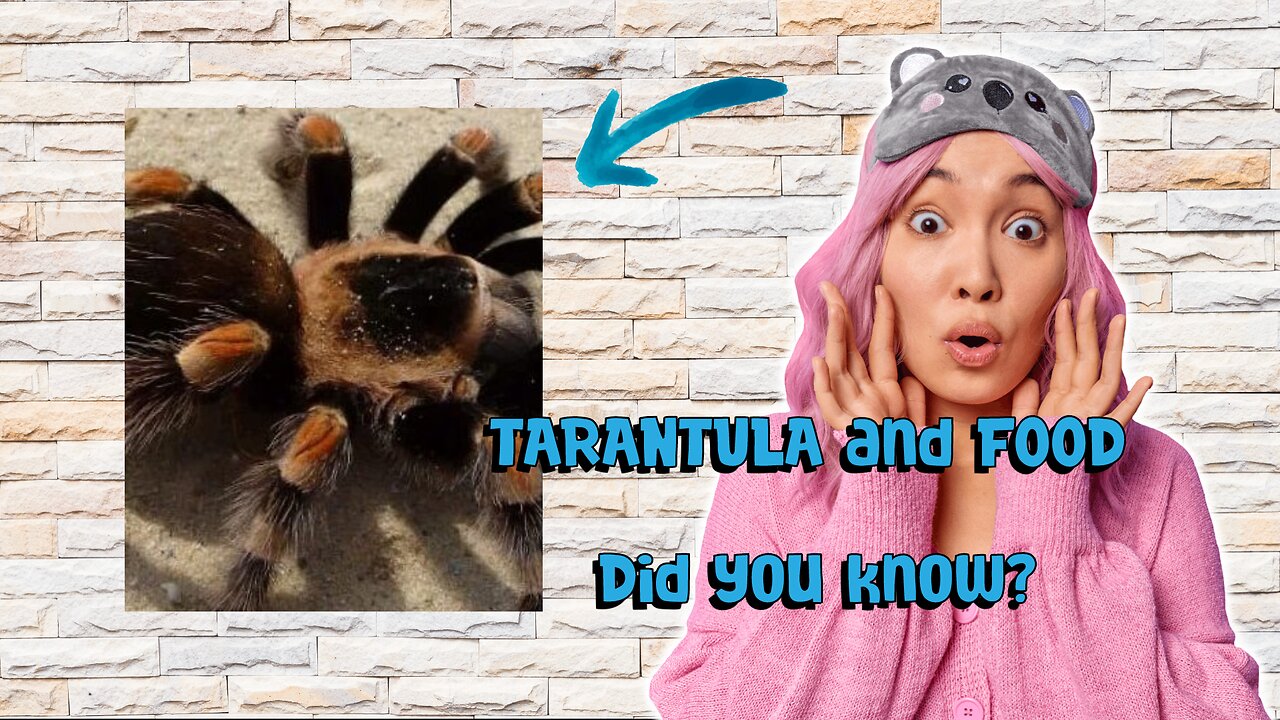 Tarantula Spiders and Nourishment