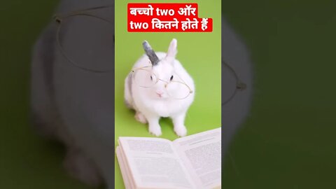 rabbit teacher || viral video || my first blog