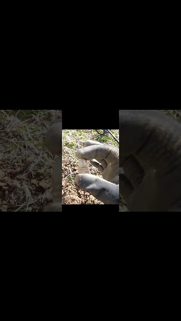Bills Bullet #fishing #relic #coins #treasure #buttons #silverage #arrowhead #metaldetecting #cat