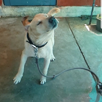 Amazing SlowMo Video after bath