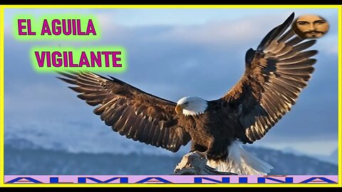 EL AGUILA VIGILANTE - MENSAJE DE JESUCRISTO REY A UN ALMA NIÑA