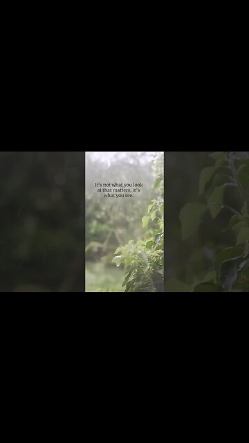 See Beyond the Surface: A Thought-Provoking Quote