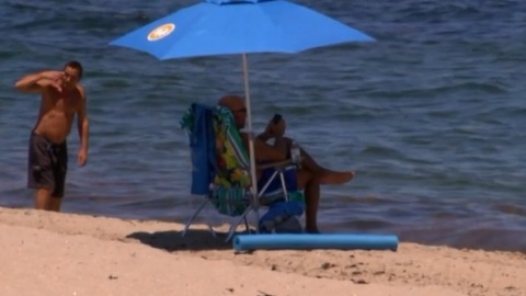 Dogs allowed on beach for one-day only