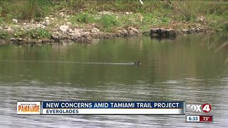 Everglades restoration project completed