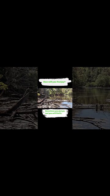 One Easy Way to Discover Joy in Your Life