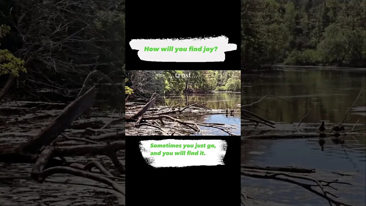 One Easy Way to Discover Joy in Your Life