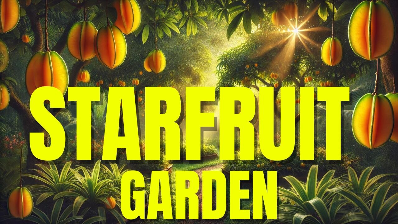 Starfruit Garden Tour: Discover Exotic Delights