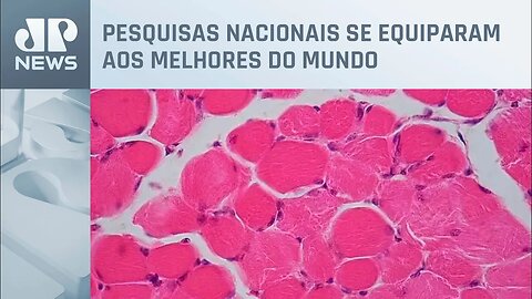 Fabricação de tecidos e órgãos humanos avança no Brasil