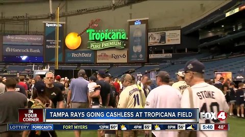 Tampa Bay Rays stadium going cashless in 2019