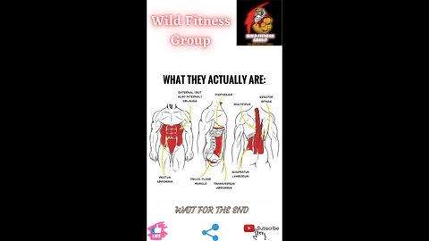 🔥What they actually are🔥#shorts🔥#viralshorts🔥#fitnessshorts🔥#wildfitnessgroup🔥