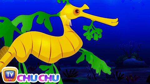 Leafy Sea Dragon Nursery Rhyme | Chuchu Tv Sea Wo..