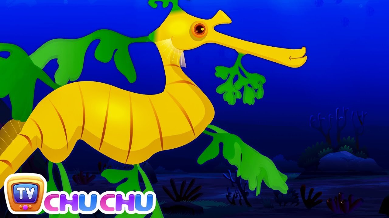 Leafy Sea Dragon Nursery Rhyme | Chuchu Tv Sea Wo..