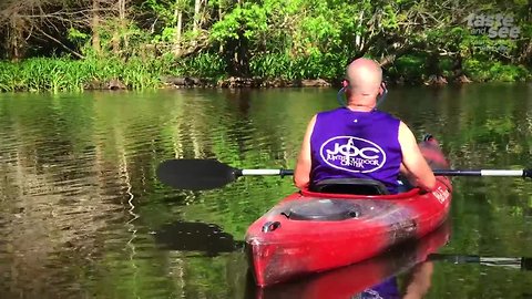 What to do if you encounter an alligator while using a watercraft