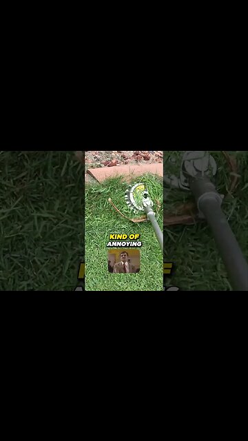 Rotary Scissors vs String Trimmer #lawncare #enjoythemow