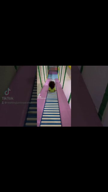 #shorts by #tinyjuniorpeanut at #activatestudio #kalamazoo