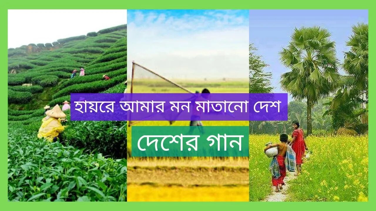 হায়রে আমার মন মাতানো দেশ | দেশের গান |Haire Amar Mon Matano Desh | Konok Chapa | Desher Gaan Song