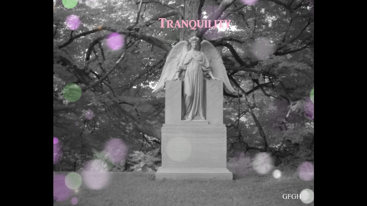 Tranquility - Gallo Family Ghost Hunters - Ep51