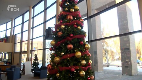 Christmas Tree Lighting | Monday, November 21, 2022 | Angela Stewart | Bridge City News