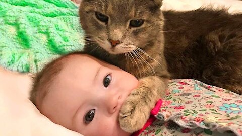 Baby and Cat Fun and Fails - Funny Baby Video