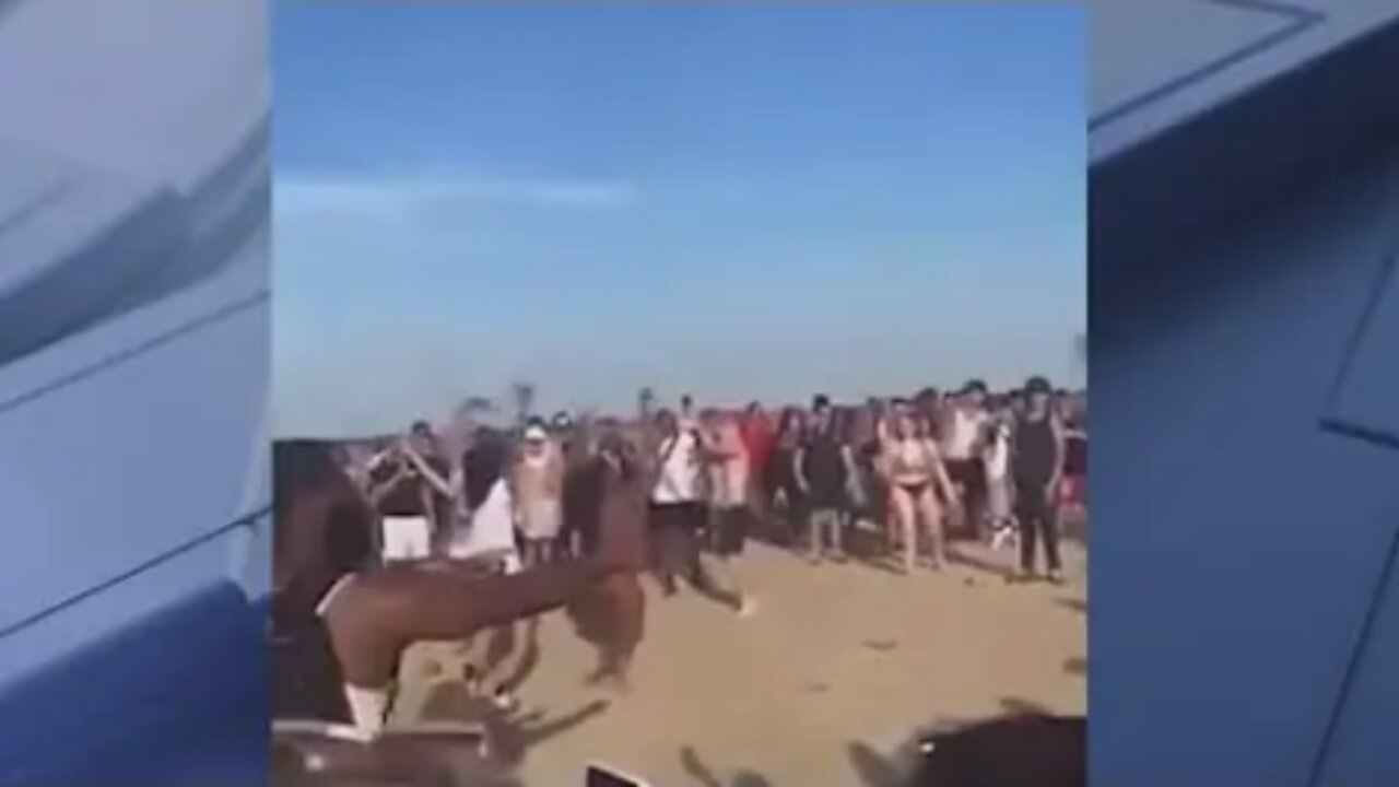 CHICAGO | Chicago beachgoers assault police officers on Memorial Day