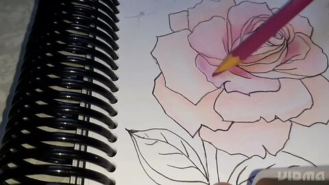 Pintura de Rosa lápis de cor Teste de misturas de cores