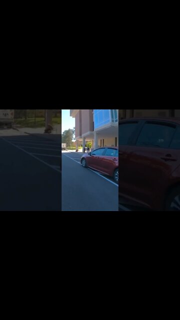 drivers like this are a special breed