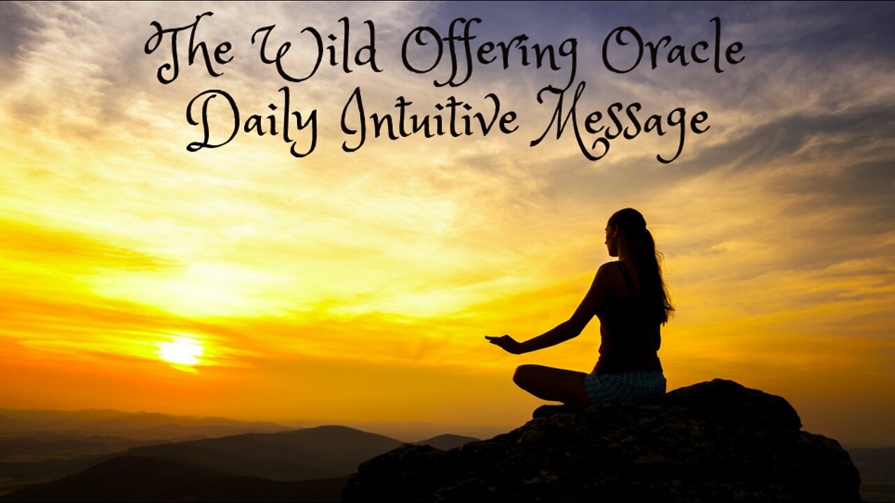 The Wild Offering Oracle ~Daily Intuitive Message