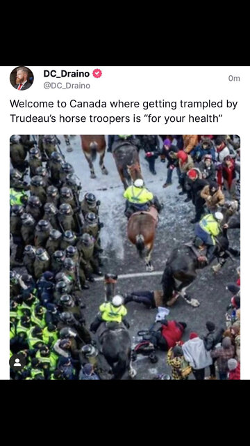 Ottawa police horses trample protestors increasing tensions between protestors and police