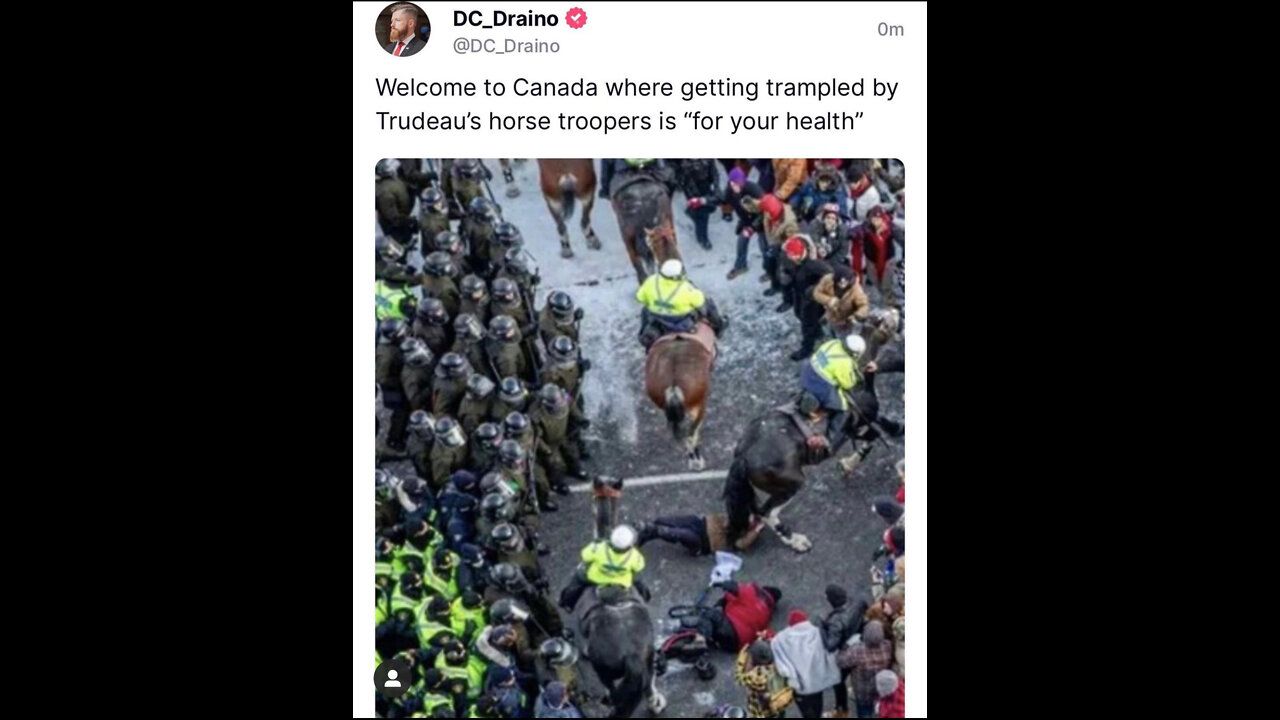 Ottawa police horses trample protestors increasing tensions between protestors and police