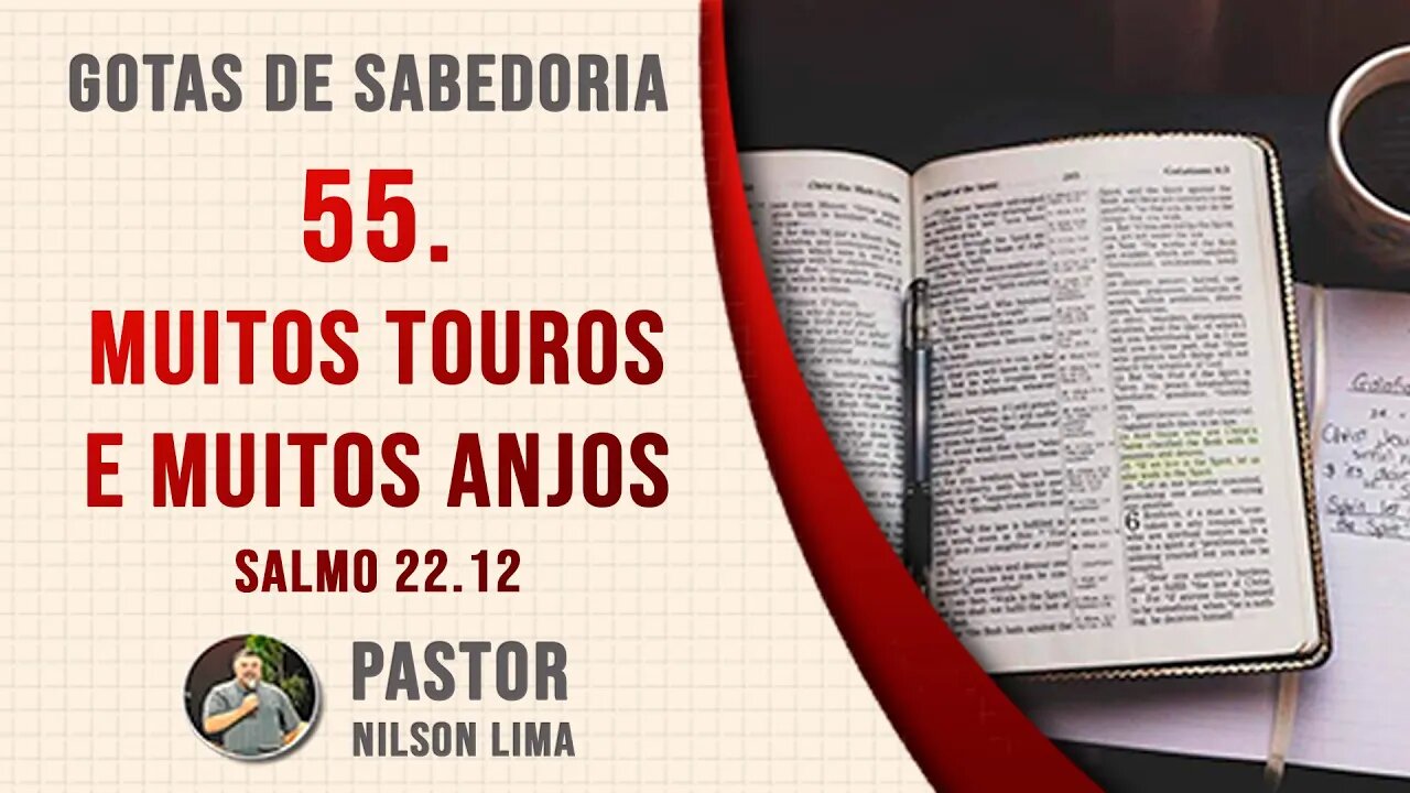 🔴 55. Muitos touros e muitos anjos - Salmo 22.12 - Pr. Nilson Lima #DEVOCIONAL