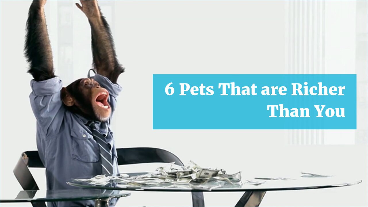 6 Pets That are Richer Than You