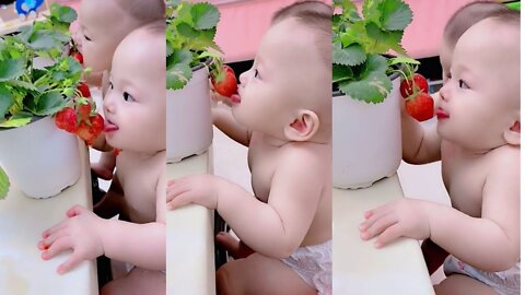 Strawberry with cute baby