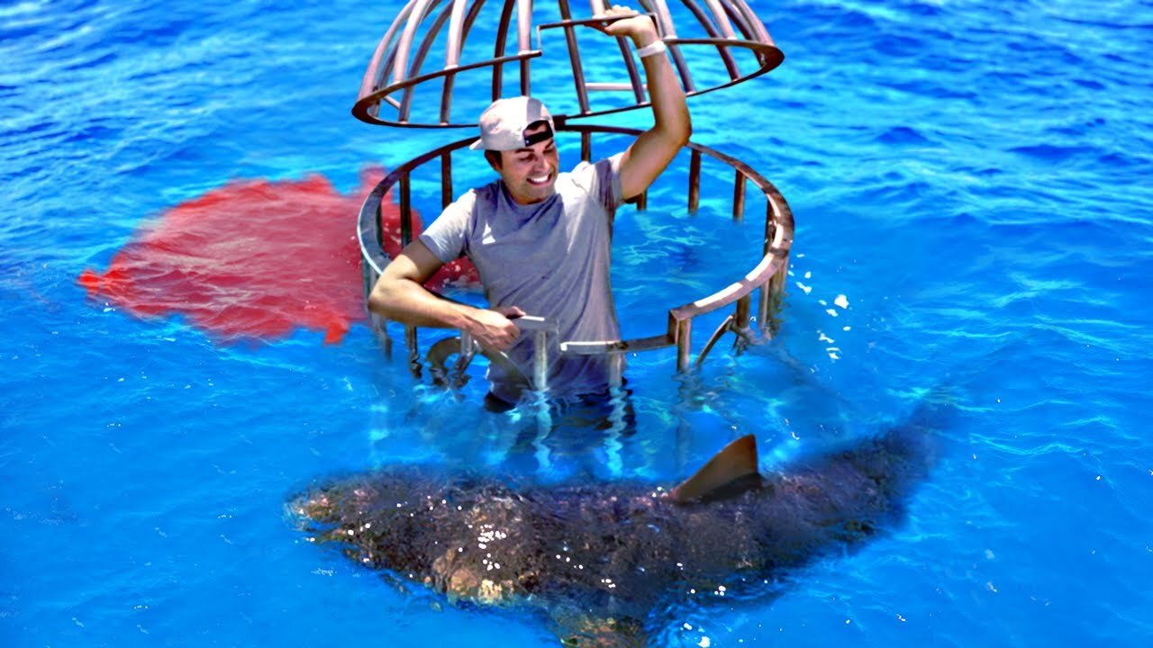 Shark Attack Test- HUMAN BLOOD vs. FISH BLOOD