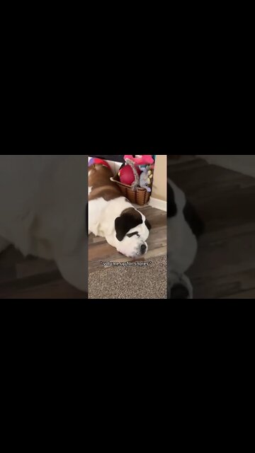 Current mood.. 😴 #shortstatus #shortsindia #shortsviral